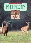 Rácz Sándor - Muflon
