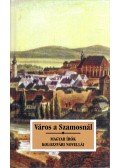 Sas Péter - Város a Szamosnál