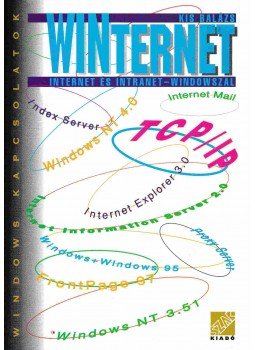 Kis Balázs - WINternet Kis Balázs - WINternet, Bicske 1997 antikvár könyv