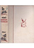 Nyirő József - Madéfalvi veszedelem