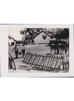 Szöllősy Kálmán - Bugac puszta (fotó) Szöllősy Kálmán - Bugac puszta (fotó), 0 antikvár könyv