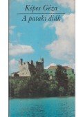 Képes Géza - A pataki diák