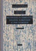 Hirsch Lajos,Török Dezső - Mesterséges és természetes szellőzés, klimatizálás az üzemekben