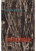 Székely Dezső - Füstoszlopok