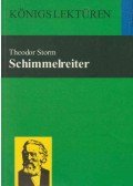 Theodor Storm - Der Schimmelreiter