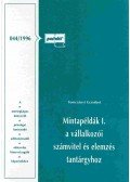 Tomcsányi Erzsébet - Mintapéldák I. a vállalkozói számvitel és elemzés tantárgyhoz