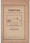 Horváth Andor - Tereptan a csapatiskolák számára