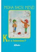 szerk. Süveges Gergő - Kié a hóember?