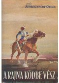 Vitéz Somogyváry Gyula - A Rajna ködbe vész