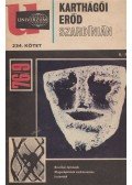 Surányi Éva - Karthágói erőd Szardínián
