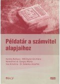 Kardos Barbara - Példatár a számvitel alapjaihoz