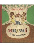 Bodó Béla - Brumi újabb kalandjai