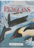 Stonehouse, Bernard - A Visual Introduction to Penguins