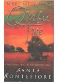 Montefiore, Santa - Meet Me Under the Ombu Tree