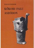 Kalicz Nándor - Kőkori falu Aszódon