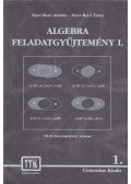 Nagy-Baló András,Nagy-Baló Teréz - Algebra feladatgyűjtemény I.