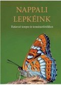 Dr. Gergely Péter - NAPPALI LEPKÉINK