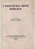 Némethy Károly - A pest-budai árvíz 1838-ban