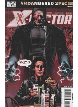 David, Peter, Raimondi, Pablo - X-Factor No. 21. David, Peter, Raimondi, Pablo - X-Factor No. 21., 2007 antikvár könyv