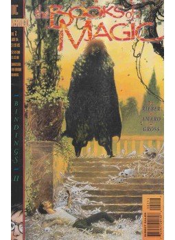 Rieber, John Ney, Amaro, Gary - The Books of Magic 2. Rieber, John Ney, Amaro, Gary - The Books of Magic 2., New York 1994 antikvár könyv