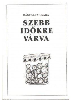 Bánfalvy Csaba - Szebb időkre várva Bánfalvy Csaba - Szebb időkre várva, Budapest 1994 antikvár könyv