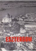 Huba László - Esztergom