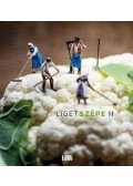 Horgas Judit et al. - Ligetszépe 2 - ökológiai olvasókönyv
