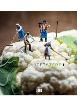 Horgas Judit et al. - Ligetszépe 2 - ökológiai olvasókönyv Horgas Judit et al. - Ligetszépe 2 - ökológiai olvasókönyv, 2017 antikvár könyv
