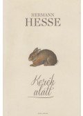 Hermann Hesse - Kerék alatt