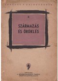 Dr. Faludi Béla - Származás és öröklés