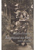 Schäffer Erzsébet - Káprázat az élet!