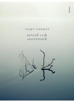 Visky András - Nevezd csak szeretetnek Visky András - Nevezd csak szeretetnek, Budapest 2017 antikvár könyv