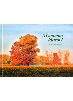 Elblinger Ferenc - A Gemenc kincsei - Famatuzsálemek Elblinger Ferenc - A Gemenc kincsei - Famatuzsálemek, Baja 2013 antikvár könyv
