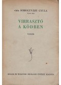 Vitéz Somogyváry Gyula - Virrasztó a ködben