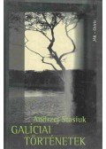 Andrzej Stasiuk - Galíciai történetek