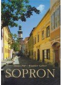 Duics Pál,Winkler Gábor - Sopron