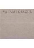 Erdős László - Valami készül