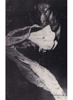 Erdély Miklós - Kollapszus orv. Erdély Miklós - Kollapszus orv., Párizs 1974 antikvár könyv