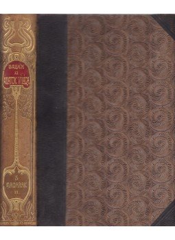 Brehm Alfréd - Az állatok világa 5. kötet - Madarak II., Budapest 1903 antikvár könyv