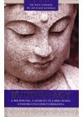 Rick Hanson,Richard Mendius - Buddha-agy
