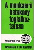 Berey András,B. Dobos Irma - A munkaerő hatékony foglalkoztatása