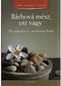 Jon Kabat-Zinn - Bárhová mész, ott vagy