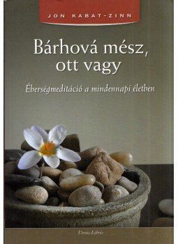 Jon Kabat-Zinn - Bárhová mész, ott vagy,  2009 antikvár könyv