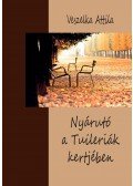 Veszelka Attila - Nyárutó a Tuileriák kertjében