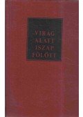 Kacsó Sándor - Virág alatt, iszap fölött