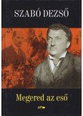 Szabó Dezső - Megered az eső