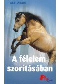 Gabi Adam - A félelem szorításában