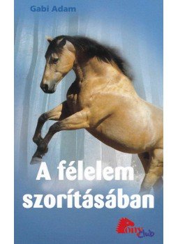Gabi Adam - A félelem szorításában, Budapest 2009 antikvár könyv