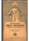 Pokorny Emánuel dr. - Újszövetségi bibliai történetek