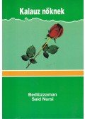 Bediüzzaman Said Nursi - Kalauz nőknek